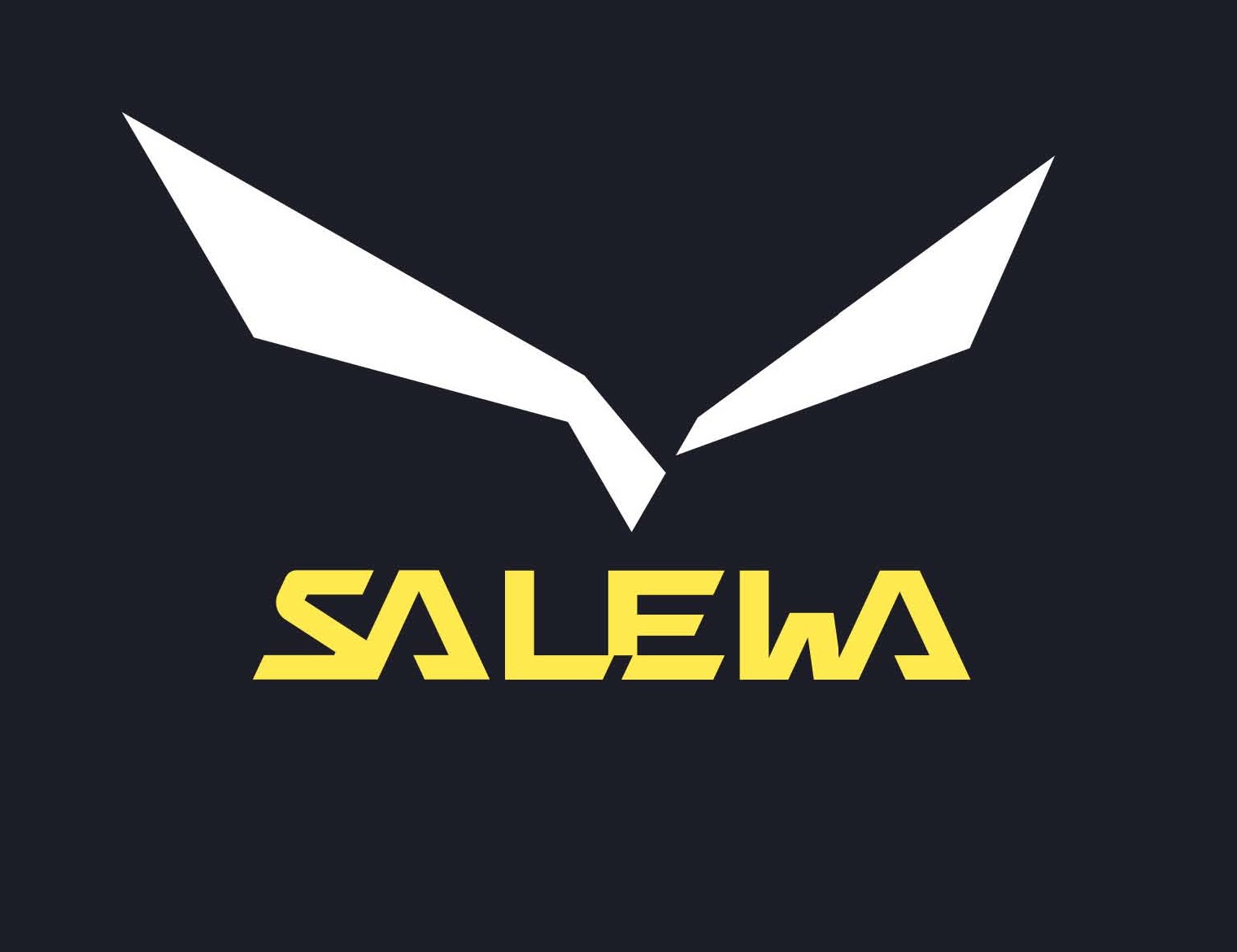 Salewa Salewa