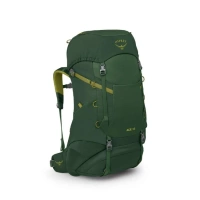 green canopy / matcha green