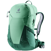 spearmint-seagreen