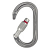 Karabinek OK SCREW LOCK