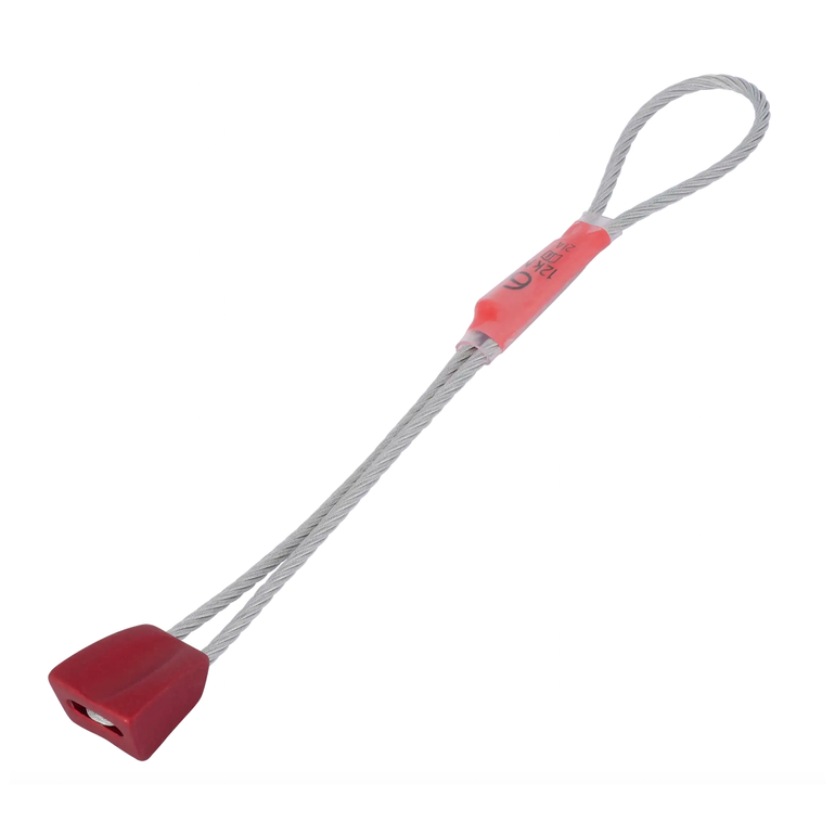 Kość WALLNUT 6