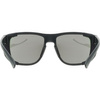 Okulary SPORTSTYLE 312