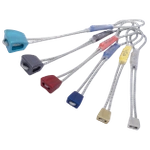 Zestaw kości WALLNUT SET 3-8