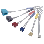Zestaw kości WALLNUT SET 3-8