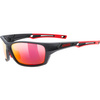Okulary SPORTSTYLE 232 P